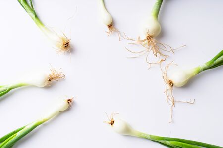 Creative layout with fresh green chives isolated on white background