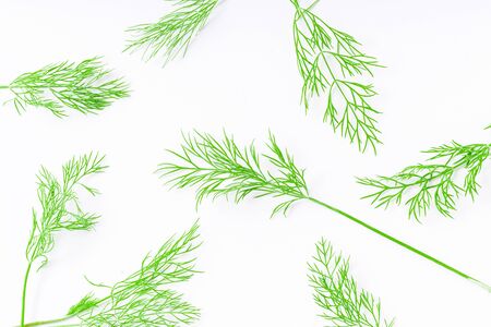 Pattern with fresh dill isolated on white backgroundの写真素材