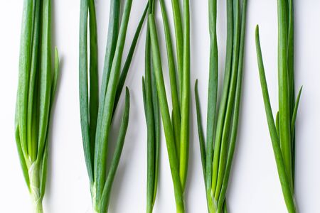 Flatlay with fresh green chives on white backgroundの写真素材