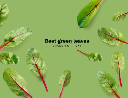 Flat lay with salad leaves. Beet green leaves flat design on green background with copy space