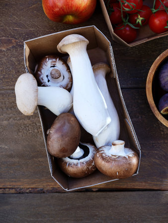 Flat lay seasonal vegetables, fruits and bread, healthy vegetarian ingredients. Grilled aubergines and mushroomsの写真素材