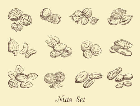 Set of nuts on a neutral background, vector illustration