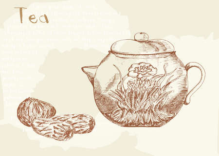 Risen tea and tea, hand drawing illustrationのイラスト素材