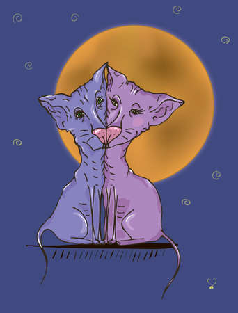 Colorful cats vector illustration on a background of the night skyのイラスト素材