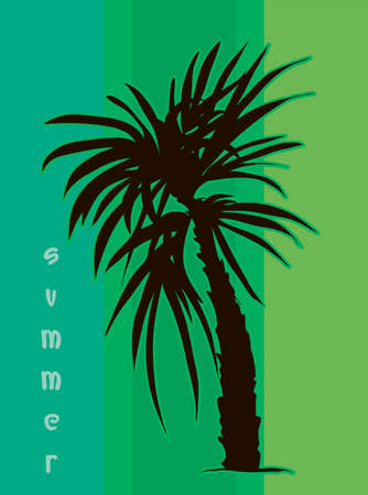 Tropical banner for your businessのイラスト素材