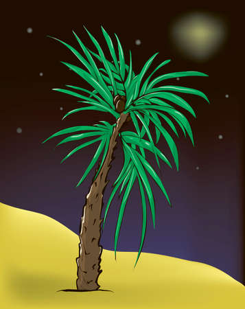 Palms tree. Vector illustration.のイラスト素材