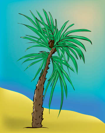 Palms tree. Vector illustration.のイラスト素材