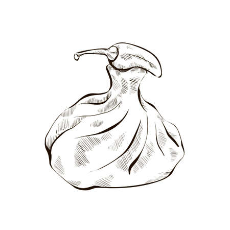 Vector Illustration of Khinkali Sketch Styleのイラスト素材