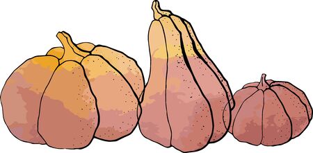 vector illustration of halloween holiday liner with watercolor effect.のイラスト素材