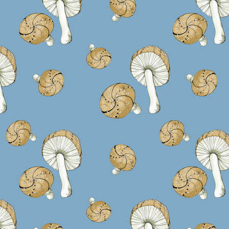 watercolor seamless pattern illustration of some fly mushrooms of background retroの写真素材
