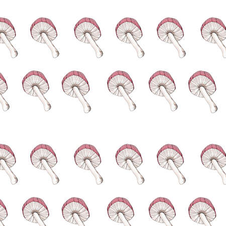 watercolor seamless pattern illustration of some fly mushrooms of background retroの写真素材