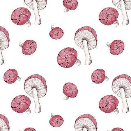 watercolor seamless pattern illustration of some fly mushrooms of background retroの写真素材