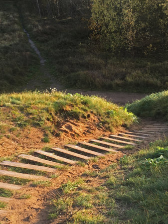 stairs on a hill in forestの写真素材