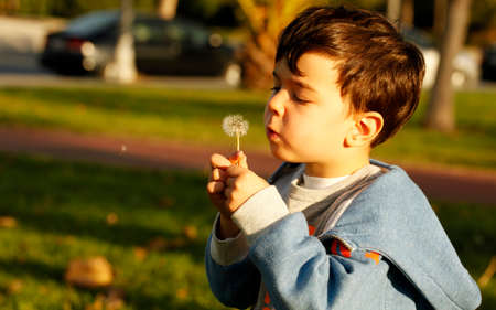Kid blowing dandelion outdoor on green at a park