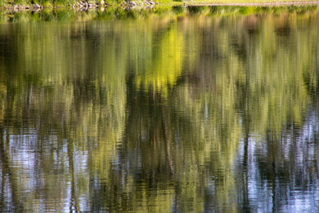 Loire river at Tours with green tree reflections