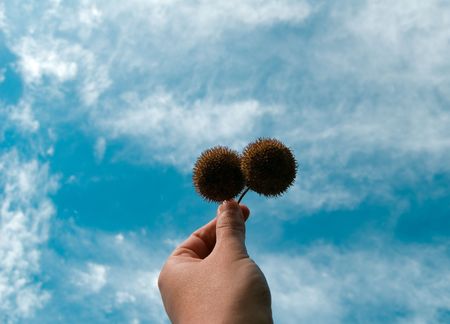 Hand in the sky.Concept of hope and solutions