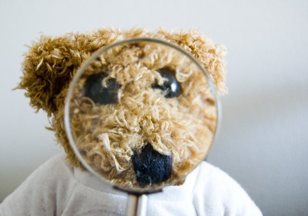 Teddy bear for different conceptsの写真素材