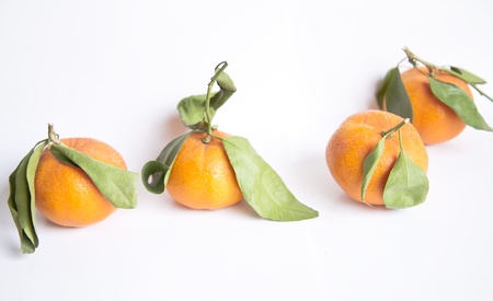 Tangerines isolated の写真素材