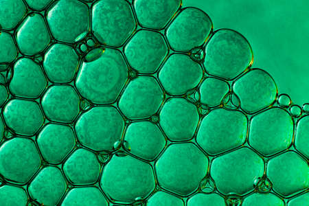 macro bubbles in water illuminated by a beam of light on a green background