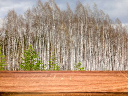 Empty wooden table with blurred spring background of birch trees. Can be used for display or montage...