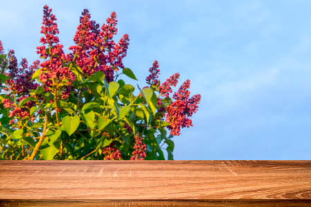Empty wooden table with blurred spring background of blossoming lilac flowers. Can be used for display or montage productsの写真素材