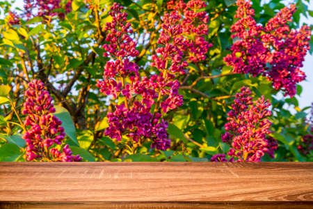 Empty wooden table with blurred spring background of blossoming lilac flowers. Can be used for display or montage productsの写真素材