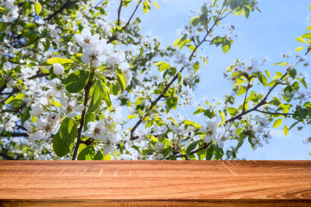 Empty wooden table with spring background of blossoming cherry tree. Can be used for display or montage productsの写真素材