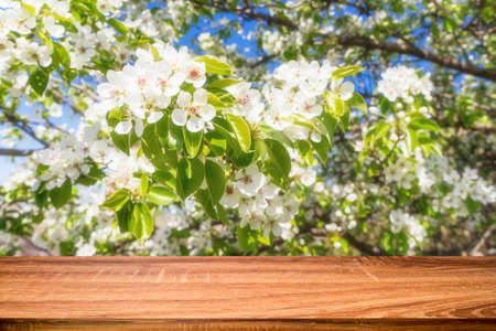 Empty wooden table with spring background of blossoming cherry tree. Can be used for display or montage productsの写真素材