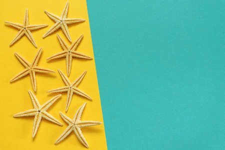 Summer background of yellow and blue paper with starfish, symbolizing the sea coastの写真素材