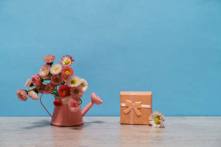 Summer creative still life in minimal style. White and pink Marguerite daisy flowers in little pink...