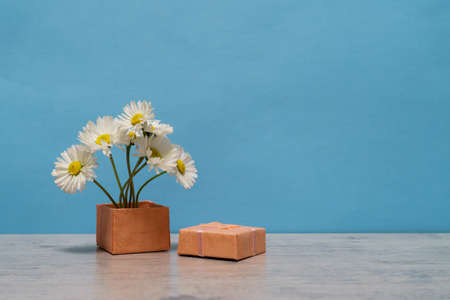 Summer creative still life in minimal style. White Marguerite daisy flowers bouquet in little pink...