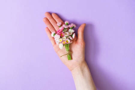 Summer creative composition in minimal style. White and pink Marguerite daisy flowers bouquet lying...