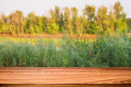 Empty wooden table with summer background of riverside at sunset. Can be used for display or montage...