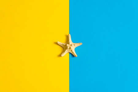 Summer composition in minimal style. Sea star on blue and yellow paper background. Flat lay, copy...