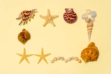 Summer composition. Frame made of different sea shells and sea stars lying on ligth yellow paper...