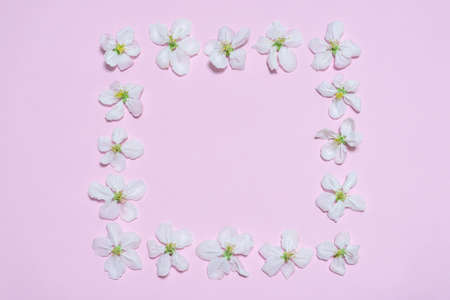 Square frame made of blooming apple flowers on light pink pastel background. Beautiful spring...