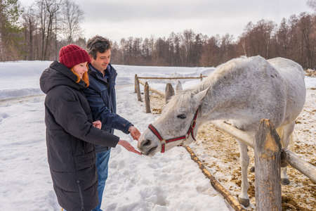 Teen girl and middle aged man feeding horse at ranch in snowy day. Father and daughter at...