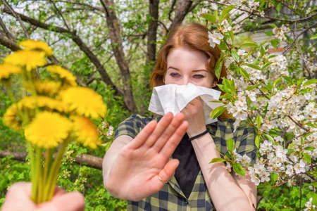 Season allergy to flowering plants pollen. Young woman with paper handkerchief covering her nose in garden and doing stop sign to dandelion bouquet. Teen girl sneezing against blossoming trees.の写真素材