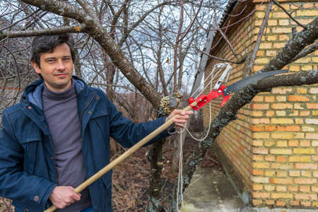 Farmer man with garden saw for cutting branches of cherry bush overgrown with lichen. Pruning of...