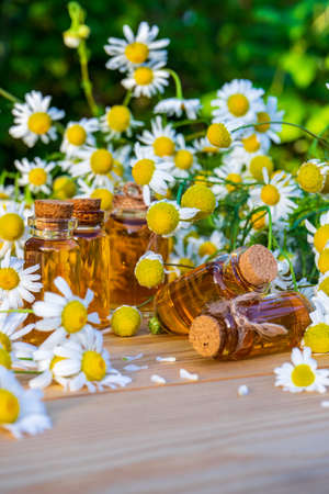 Chamomile essential oil in small glass bottles with camomile daisy flowers on wooden table in garden. Aromatherapy, phytotherapy, alternative medicine, spa and massage concept.の写真素材