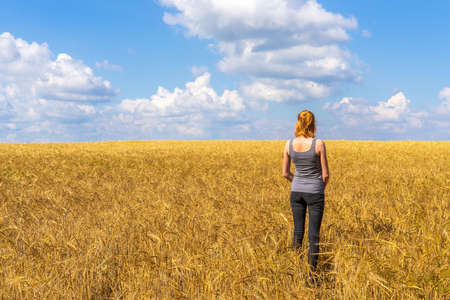 Tourist tween girl admiring picturesque rural landscape of golden ripe rye field and blue sky in...