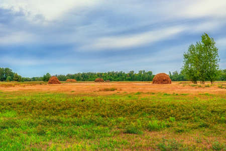 Picturesque summer landscape with beveled meadow and haystacks in cloudy morning. Hay harvest at farmland. Beautiful agricultural background.の写真素材