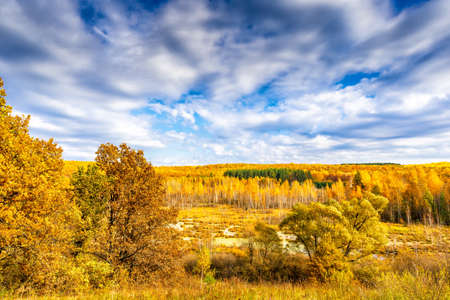 Picturesque autumn landscape in golden and blue colors. View from hill to lowland with wood and swamps. Beautiful natural background, beauty of nature, autumn is coming, season changing concept.の写真素材