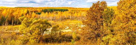 Picturesque autumn landscape in golden and blue colors. View from hill to lowland with wood and swamps. Beautiful natural background, beauty of nature, autumn is coming, season changing concept.の写真素材