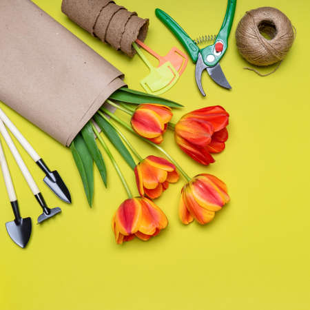 Fresh tulips flowers, seedling pots, ball of twine, garden tools and signs on light pastel background. Creative composition. Gardening, spring work concept. Flat lay, top view, copy space.の写真素材