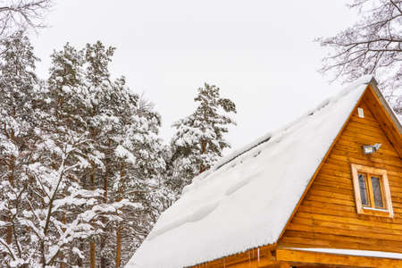 Picturesque winter landscape with snow covered trees and country house roof after snowfall in cloudy day. Cottage village in winter, season details, cold weather.の写真素材