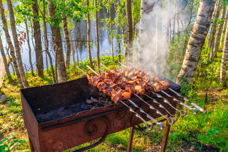 Fried meat on skewers on grill with smoke from the coals. Cooking food outdoors against beautiful landscape of northern forest and lake. Summer vacation, weekend trip, picnic concept.の写真素材