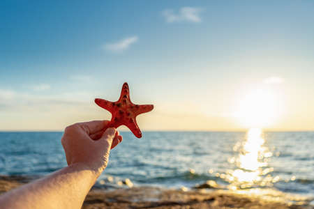 Human hands holding red sea star on sea beach against sunny seascape. Decorative starfish in hand at seaside. Beautiful view of sea shore in summer day. Summer beach vacation, happy holidays concept.の写真素材