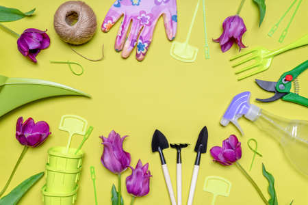 Garden tools, gloves, seedling pots with fresh tulips flowers on light background. creative composition. Gardening, spring work in garden concept. Flat lay, top view, copy space.の写真素材