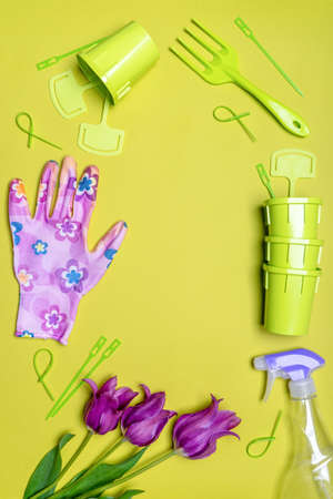 Garden tools, gloves, seedling pots with fresh tulips flowers on light background. creative...